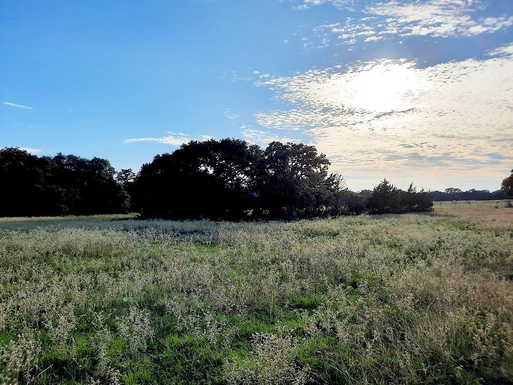 Hallettsville, Lavaca County, TX Farms and Ranches for sale Property ID