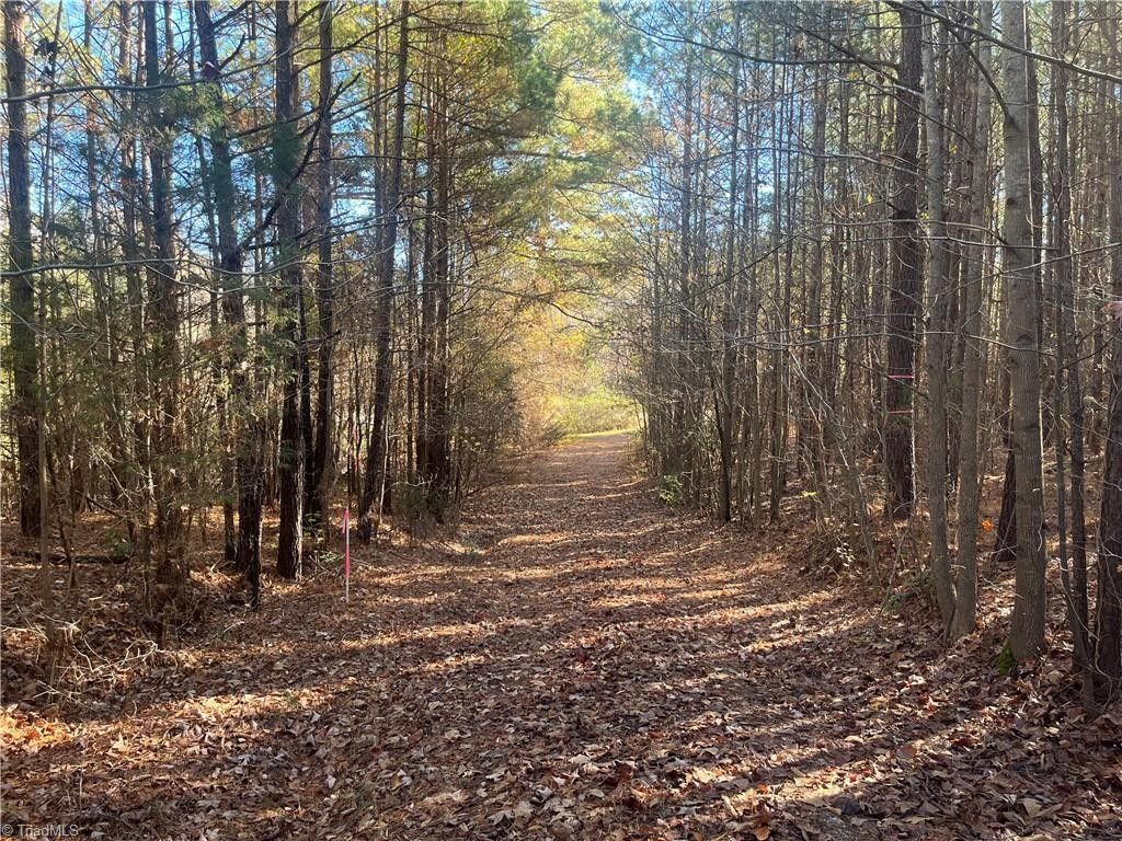 Lexington, Davidson County, NC Undeveloped Land for sale Property ID