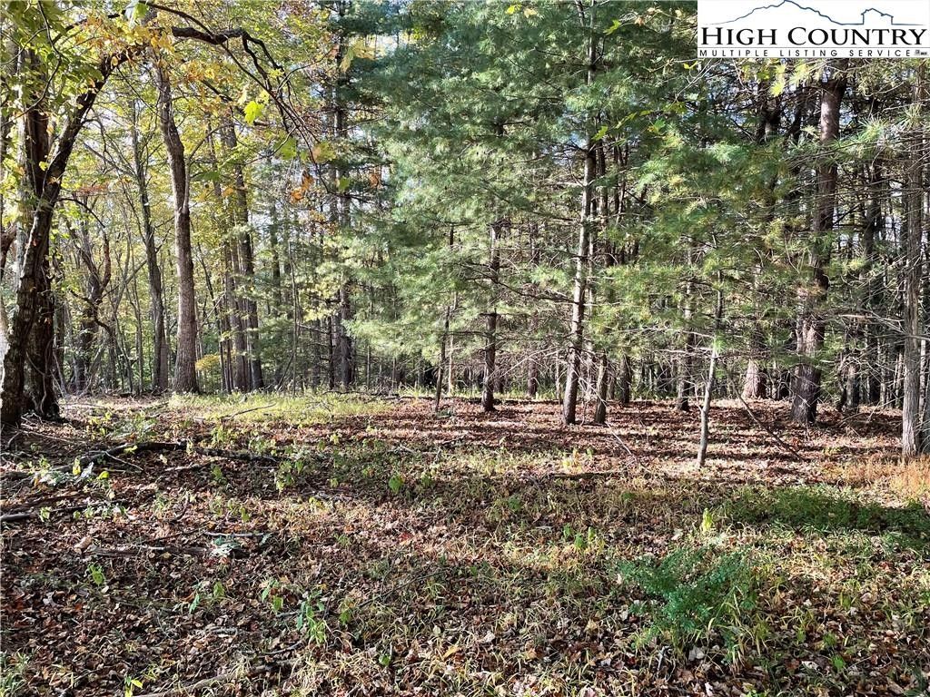 Scottville, Ashe County, NC Undeveloped Land for sale Property ID