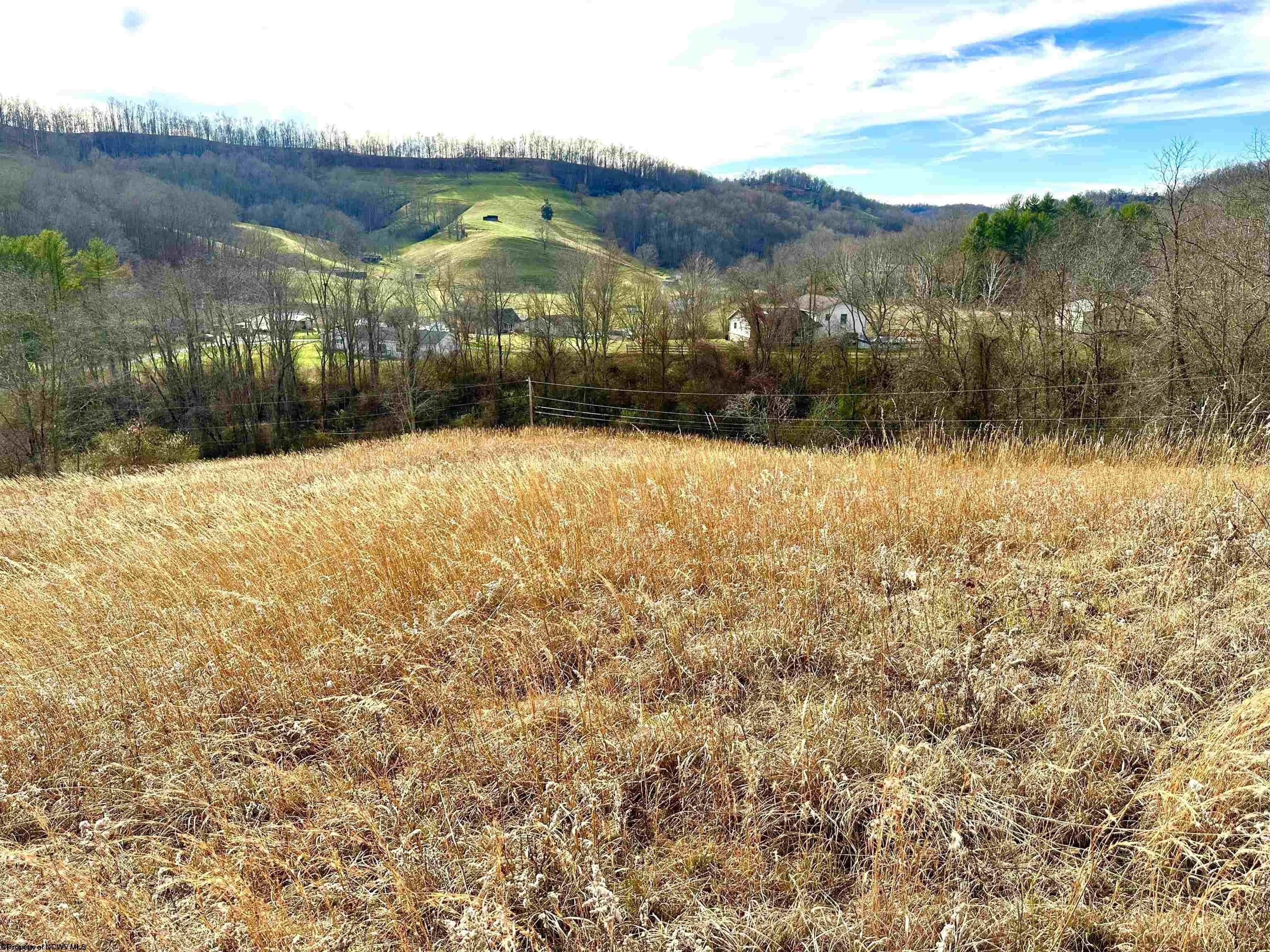 Weston, Lewis County, WV Undeveloped Land, Homesites for sale Property ID 418468826 LandWatch
