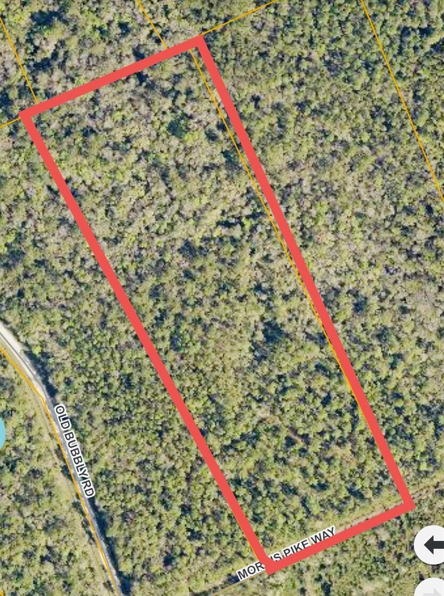 Pierson, Volusia County, FL Undeveloped Land for sale Property ID