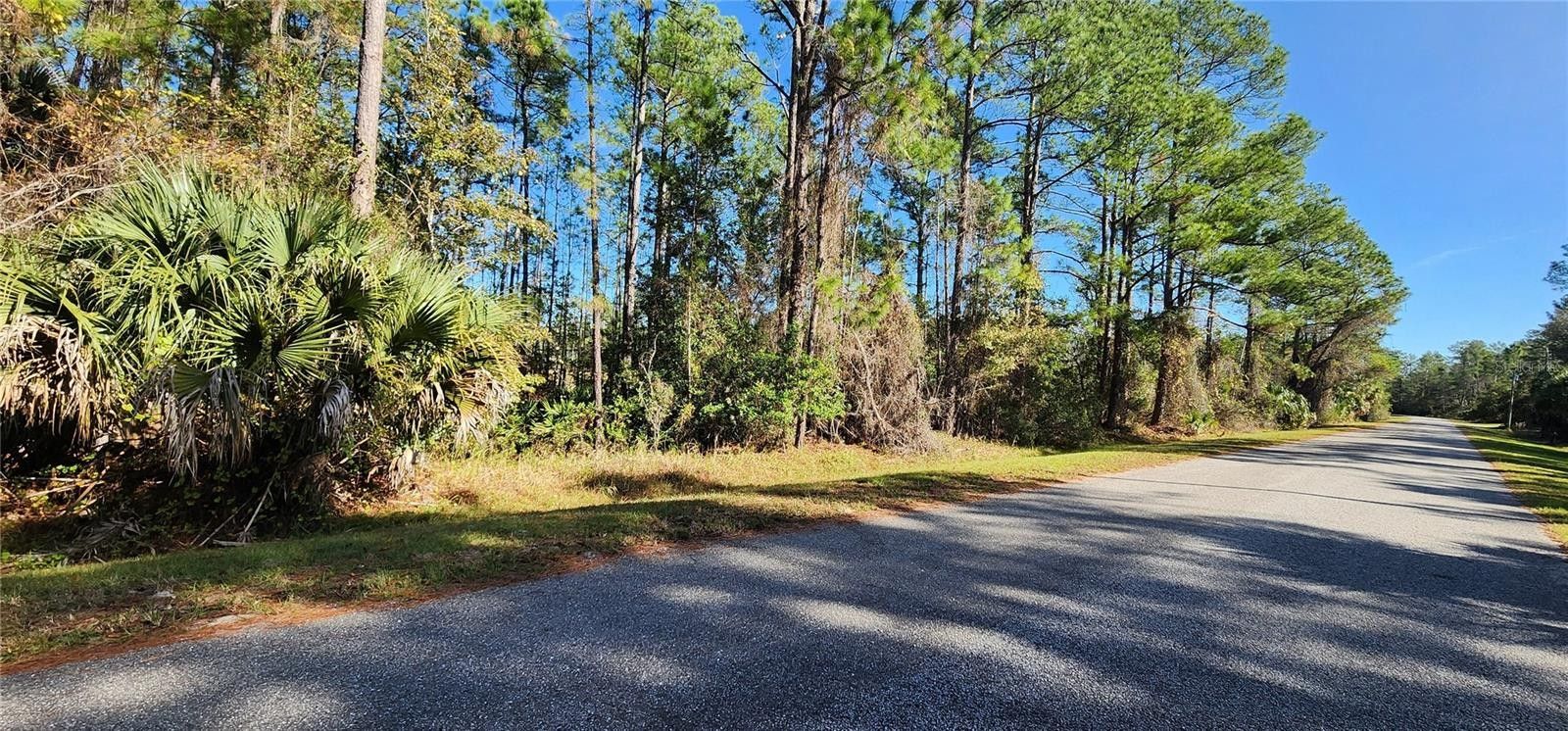 Eustis, Lake County, FL Undeveloped Land, Lakefront Property