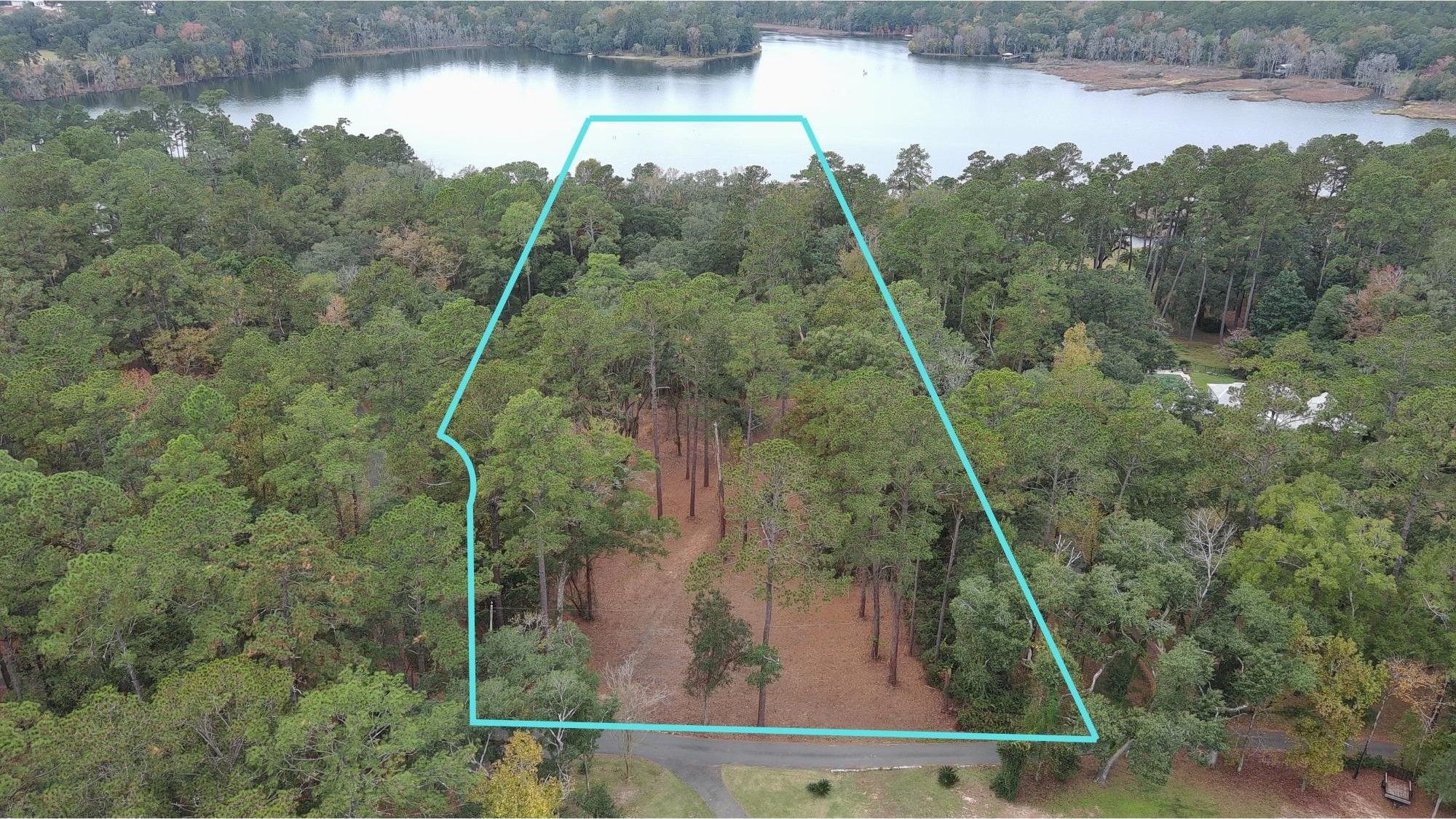 Tallahassee, Leon County, FL Undeveloped Land, Lakefront Property