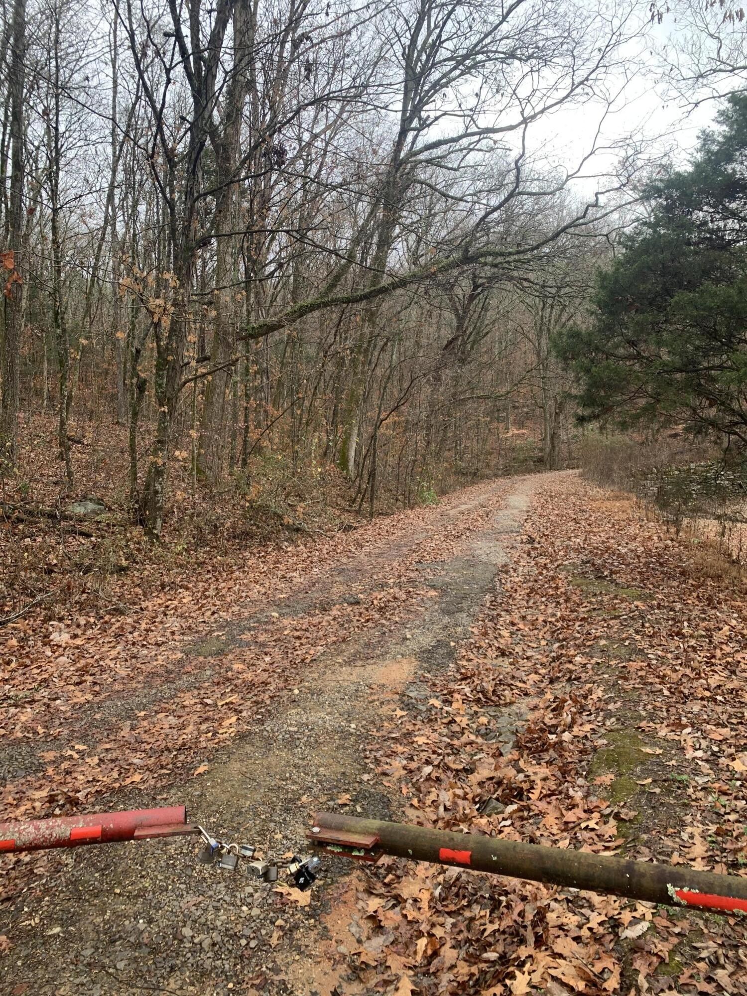 Flat Rock, Jackson County, AL Undeveloped Land for sale Property ID