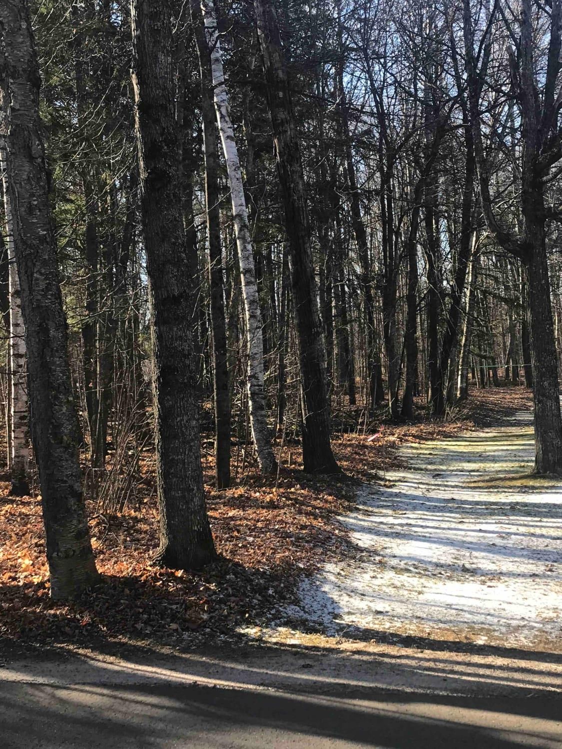 Three Lakes, Oneida County, WI Recreational Property, Undeveloped Land