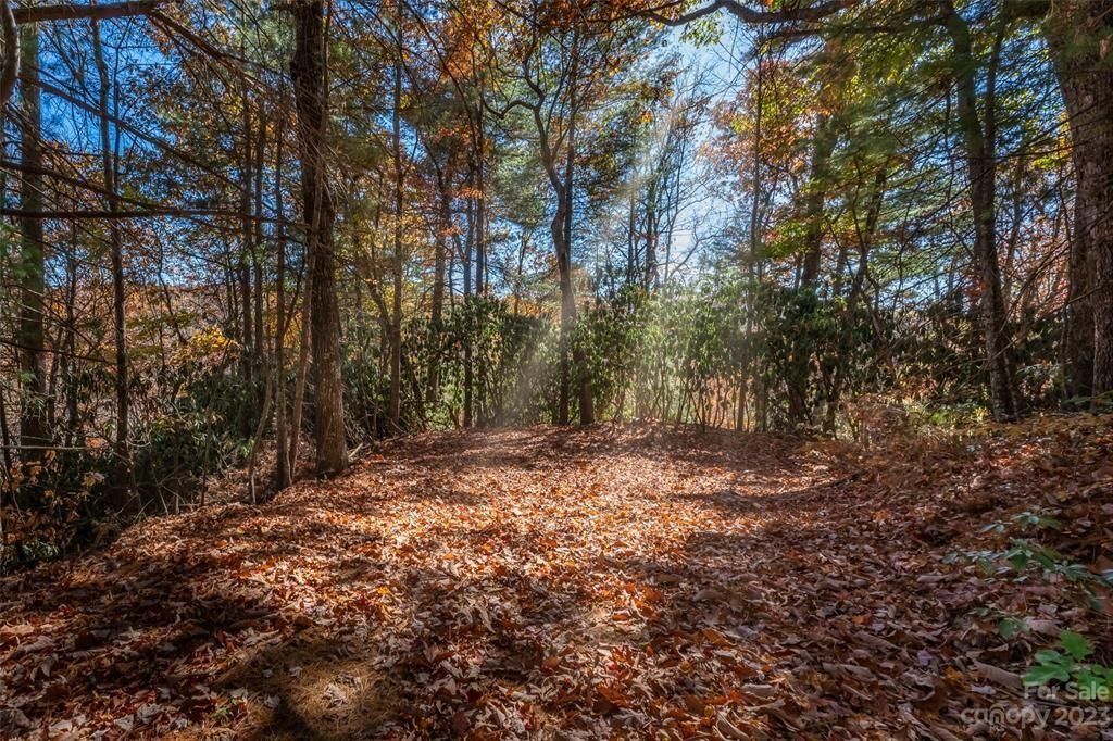 Hendersonville, Henderson County, NC Recreational Property for sale