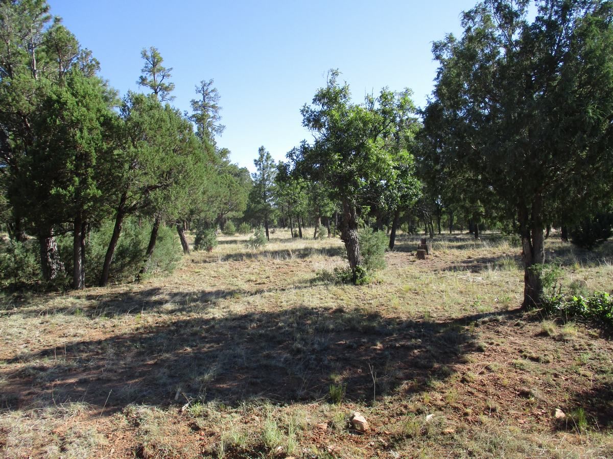 Happy Jack, Coconino County, AZ Homesites for sale Property ID
