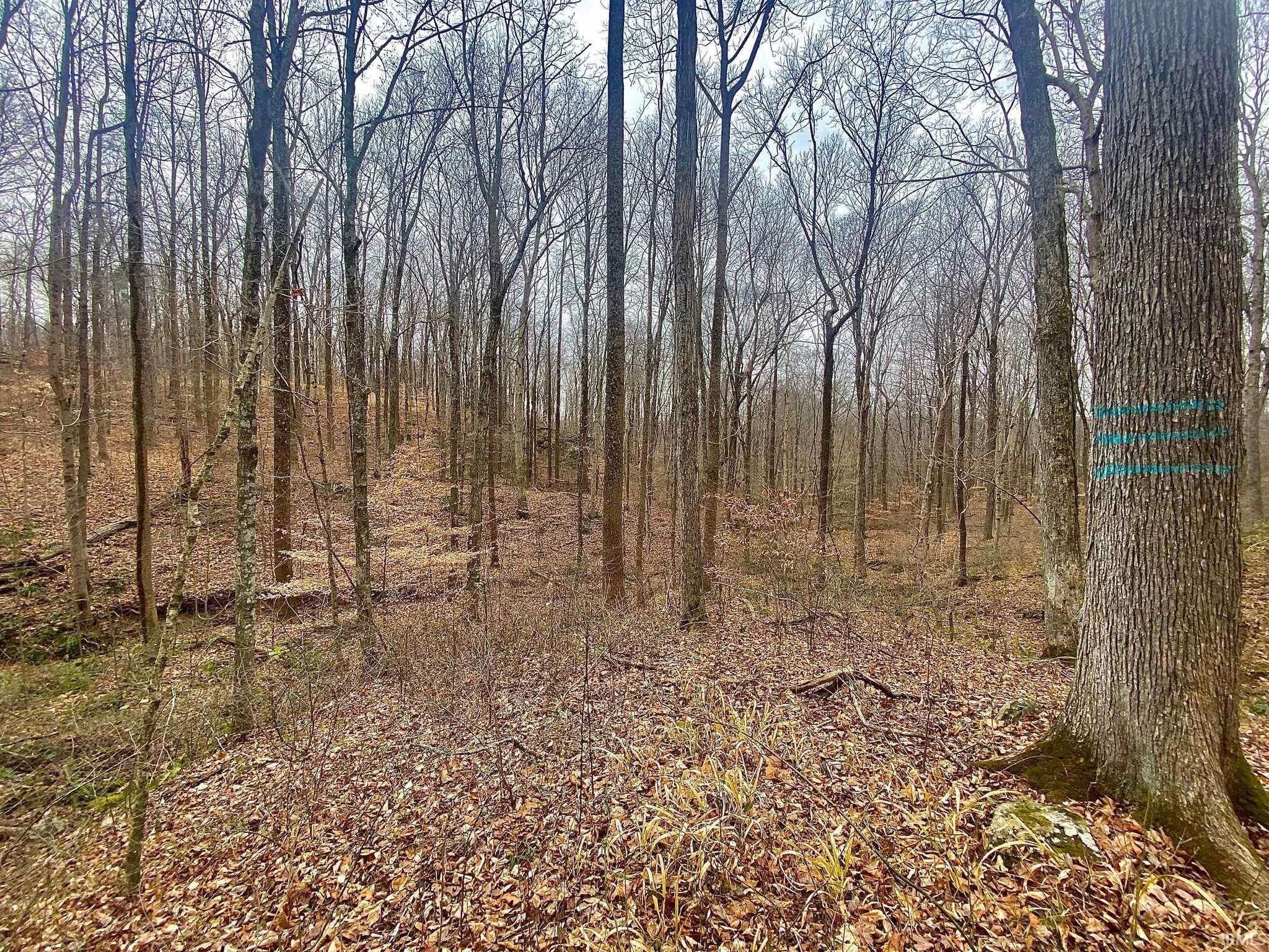 Bristow, Perry County, IN Undeveloped Land for sale Property ID