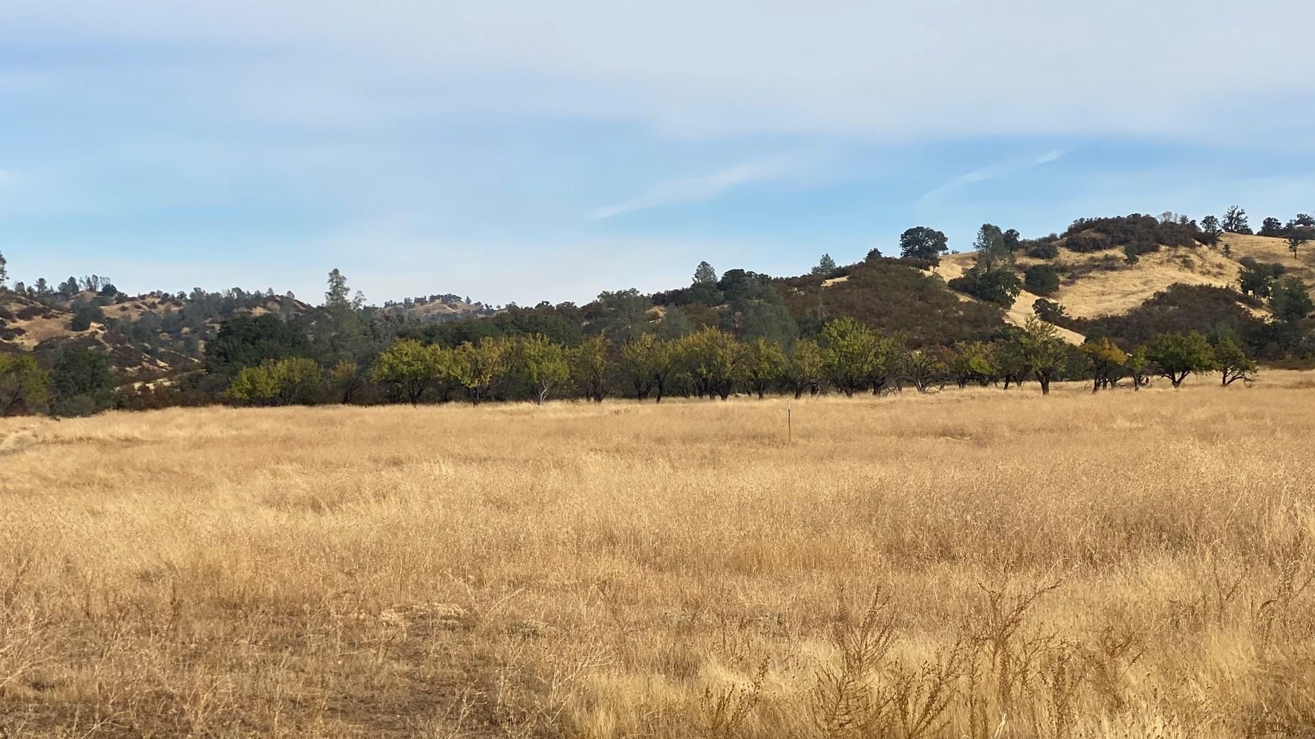 14550 County Road 41A, Capay, CA 95607 MLS 0403005458 LandWatch