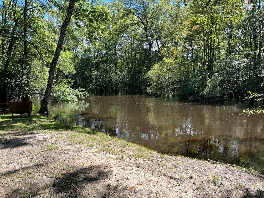 286 River Vista Drive, Cope, SC 29038 LandWatch