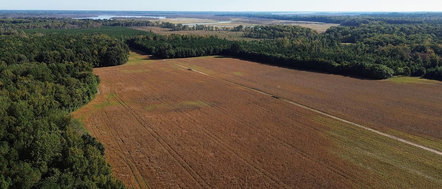 New Kent, New Kent County, VA Recreational Property, Timberland