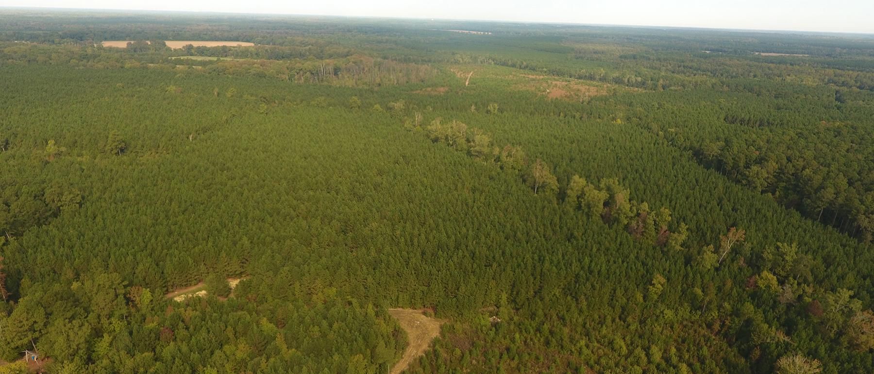45 acres in Charles City, VA, 23030 LandWatch