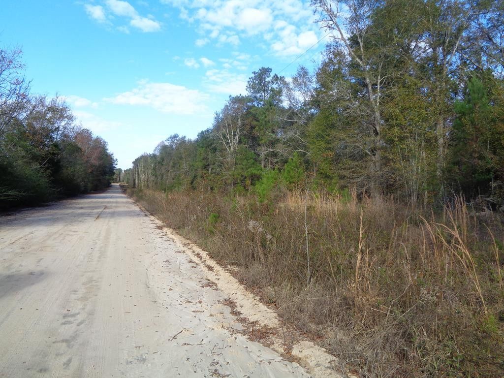 Blakely, Early County, GA Undeveloped Land for sale Property ID