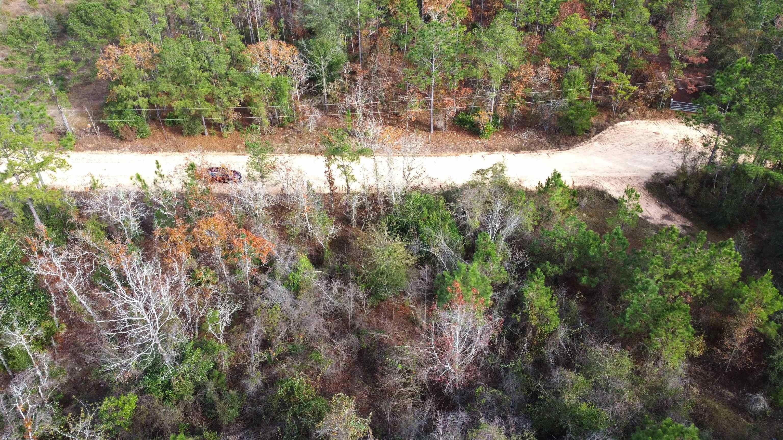Greensboro, Gadsden County, FL Undeveloped Land for sale Property ID 418477543 LandWatch