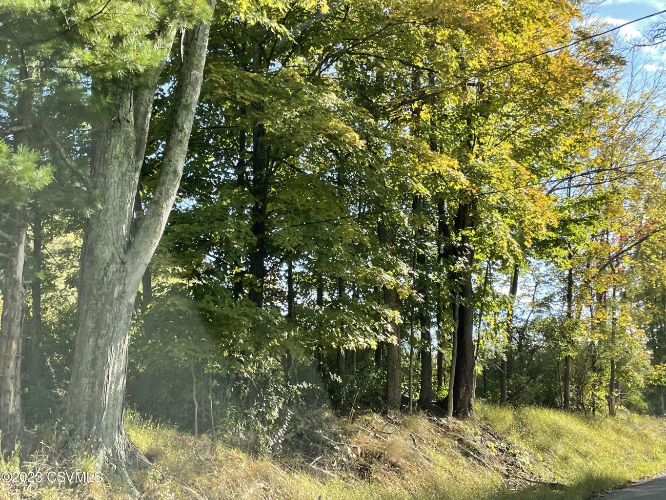 Orangeville, Columbia County, PA Undeveloped Land for sale Property ID