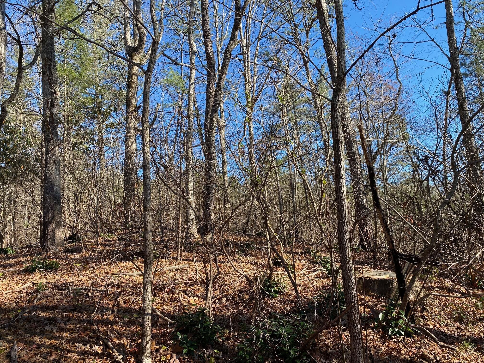 Cosby, Cocke County, TN Undeveloped Land, Homesites for sale Property