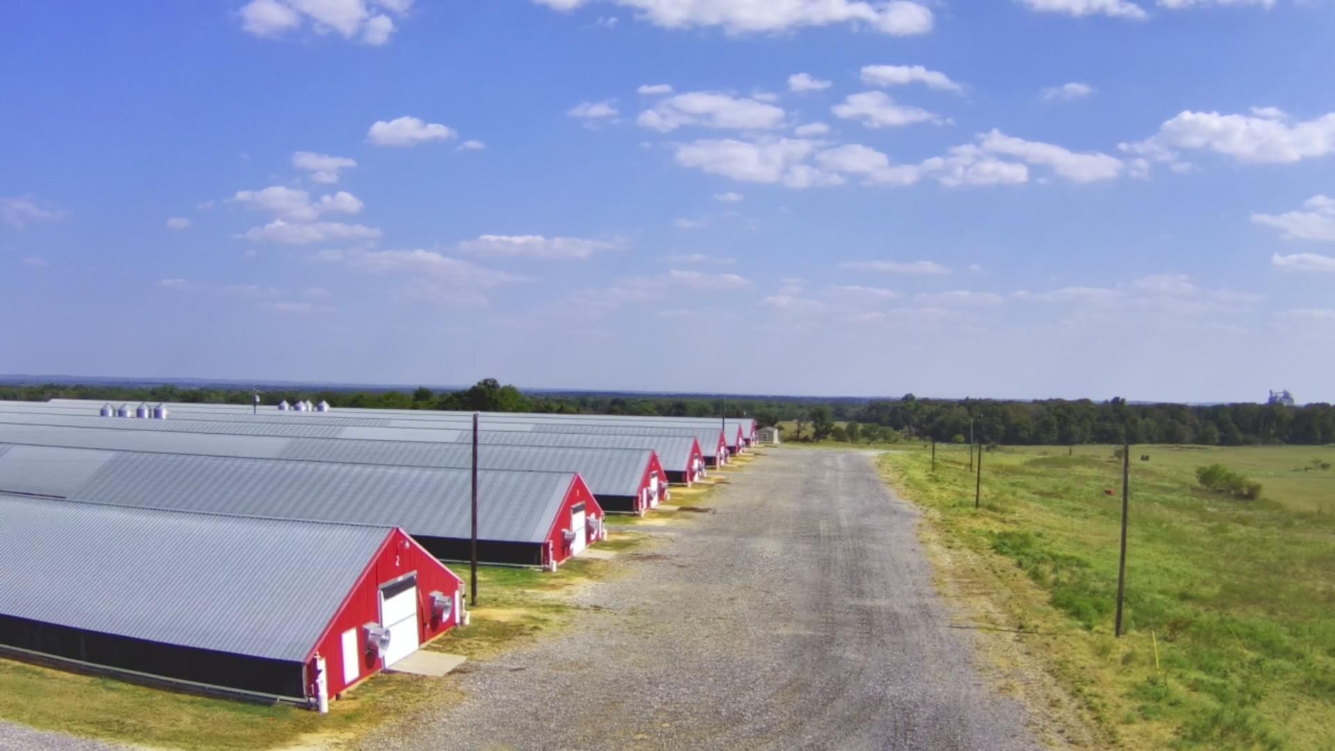 Oakwood, Leon County, TX Farms and Ranches for sale Property ID