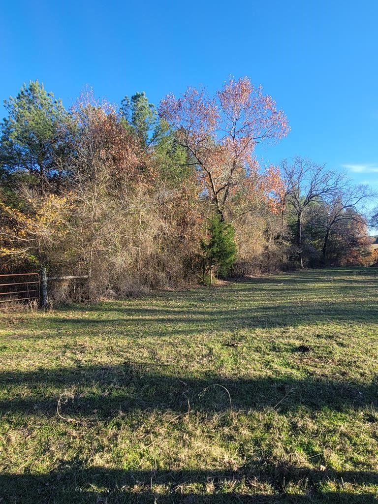 Palestine, Anderson County, TX Undeveloped Land for sale Property ID
