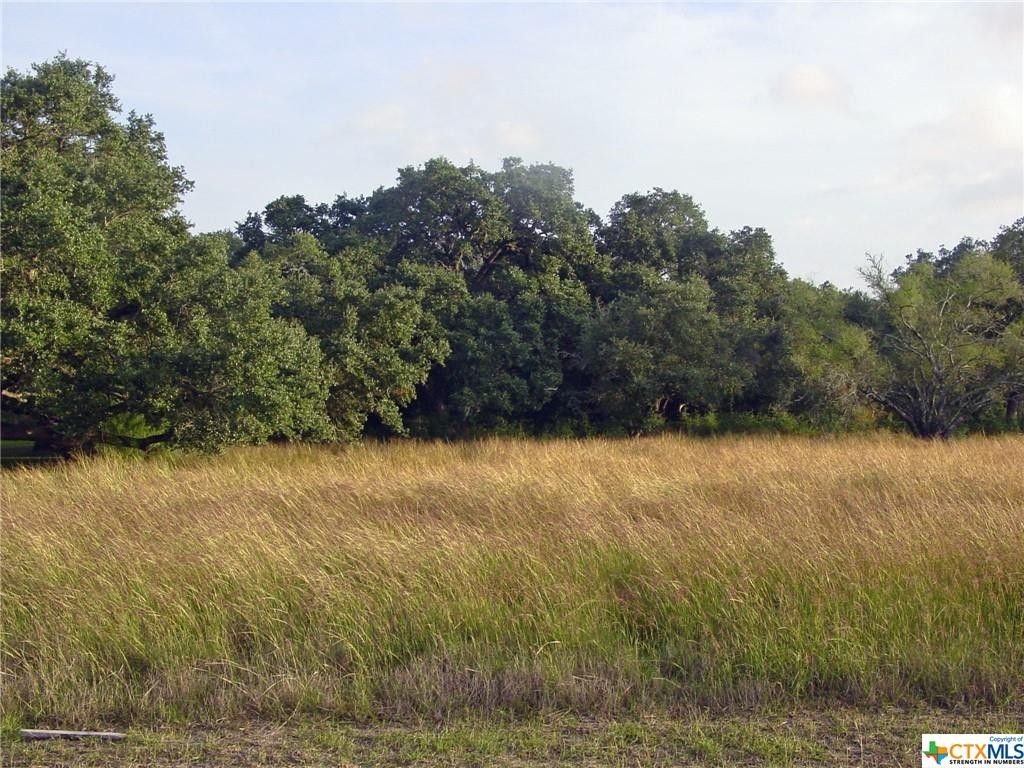 Inez, Victoria County, TX Undeveloped Land for sale Property ID