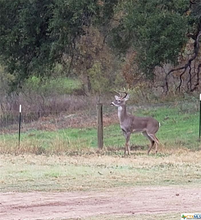 Smiley, Gonzales County, TX House for sale Property ID 418479405