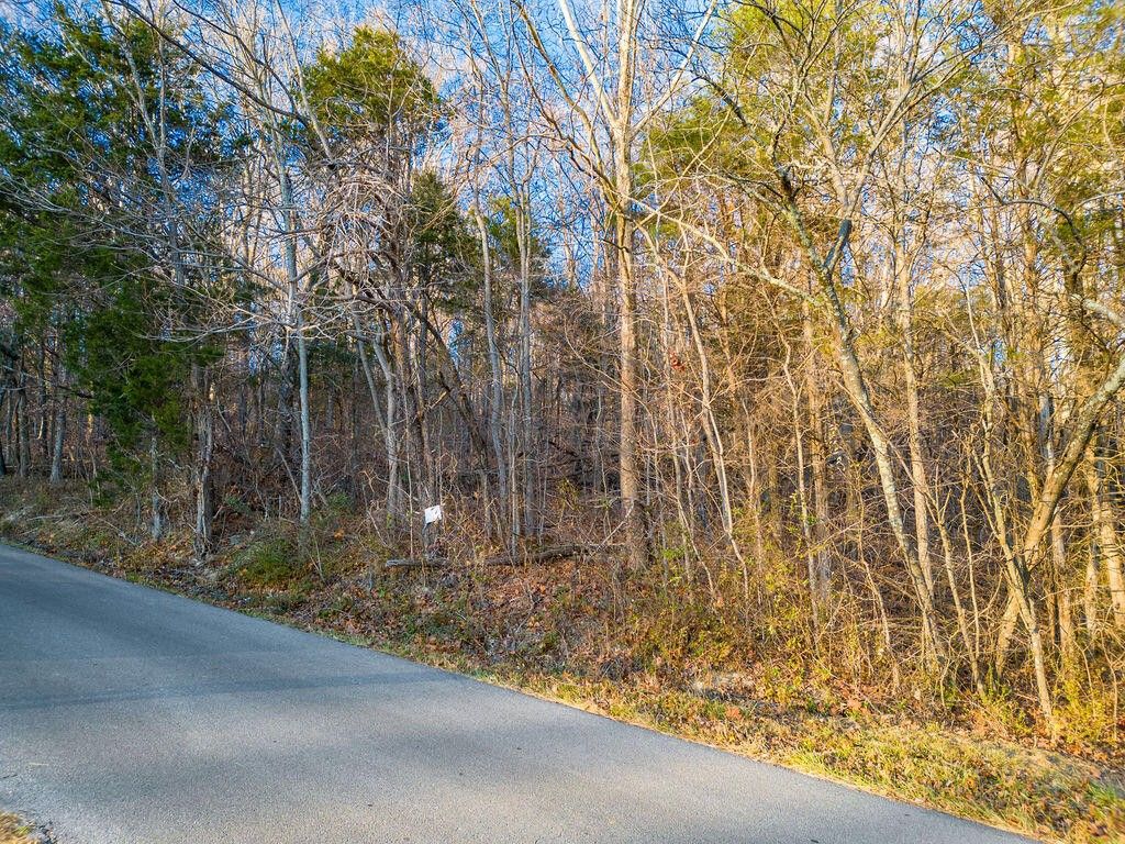 Greeneville, Greene County, TN Undeveloped Land, Homesites for sale
