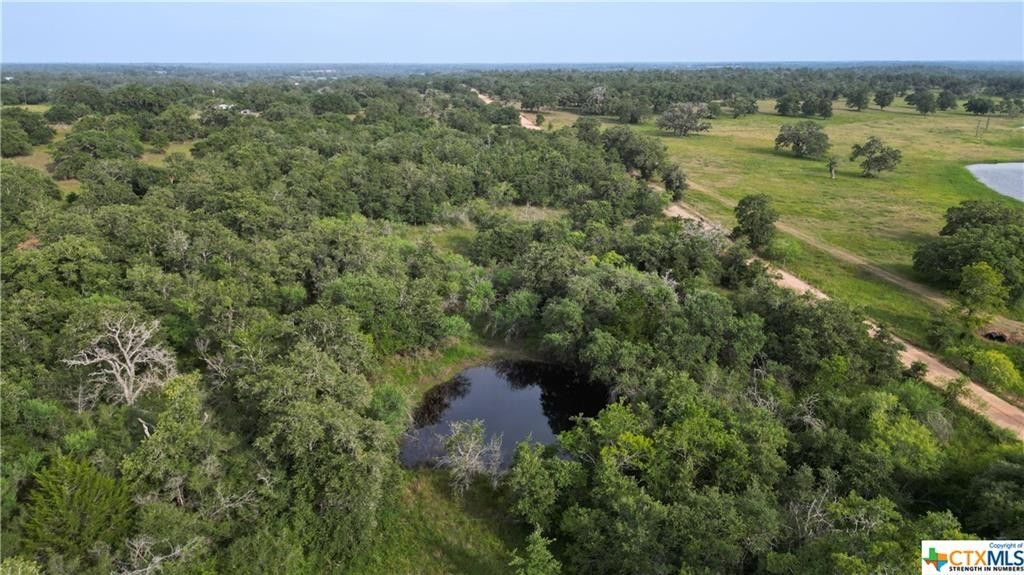 Cuero, Dewitt County, TX Undeveloped Land for sale Property ID