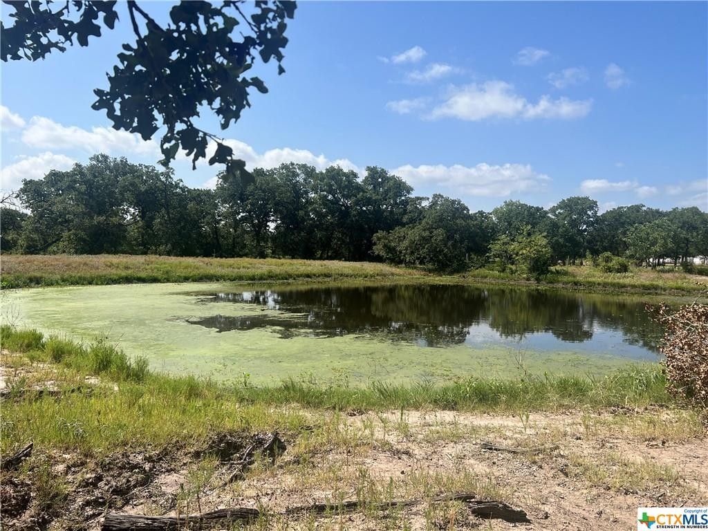 Somerville, Burleson County, TX Undeveloped Land for sale Property ID