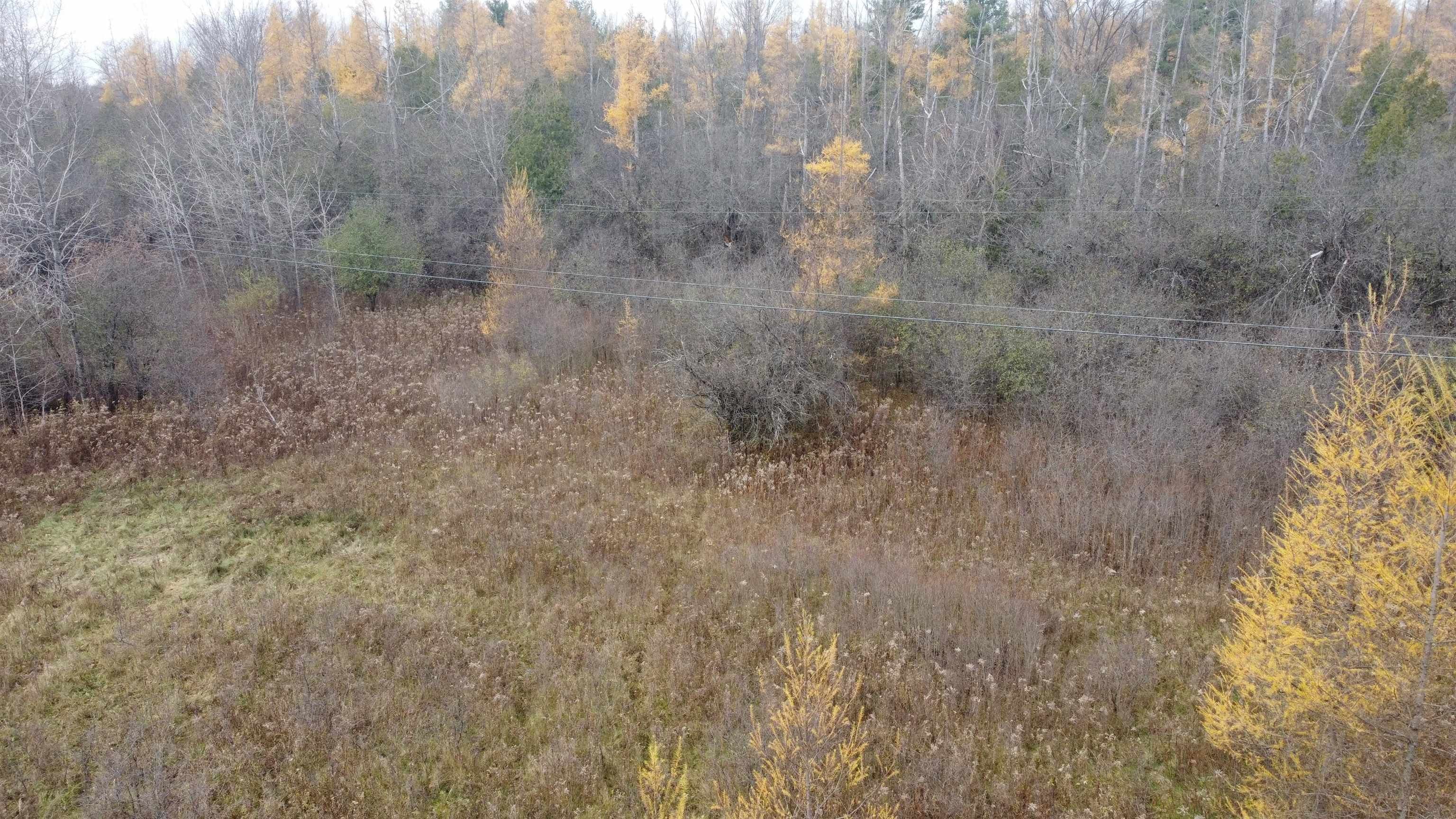 West Stockholm, Saint Lawrence County, NY Undeveloped Land for sale Property ID 418480443