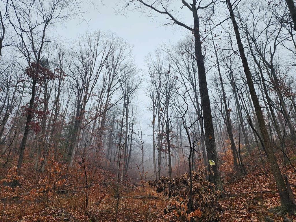 95 Little Greenbriar Road, Mcveytown, PA 17051 MLS 2816666 LandWatch