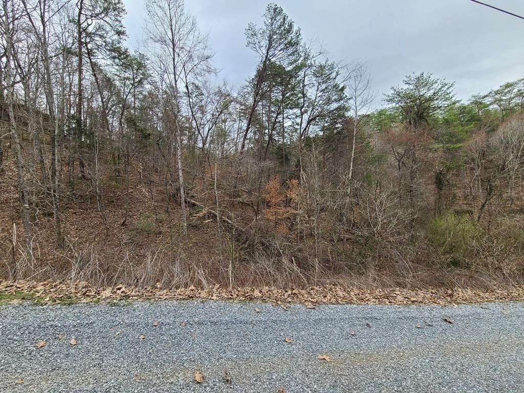 Cosby, Cocke County, TN Homesites for sale Property ID 418481509