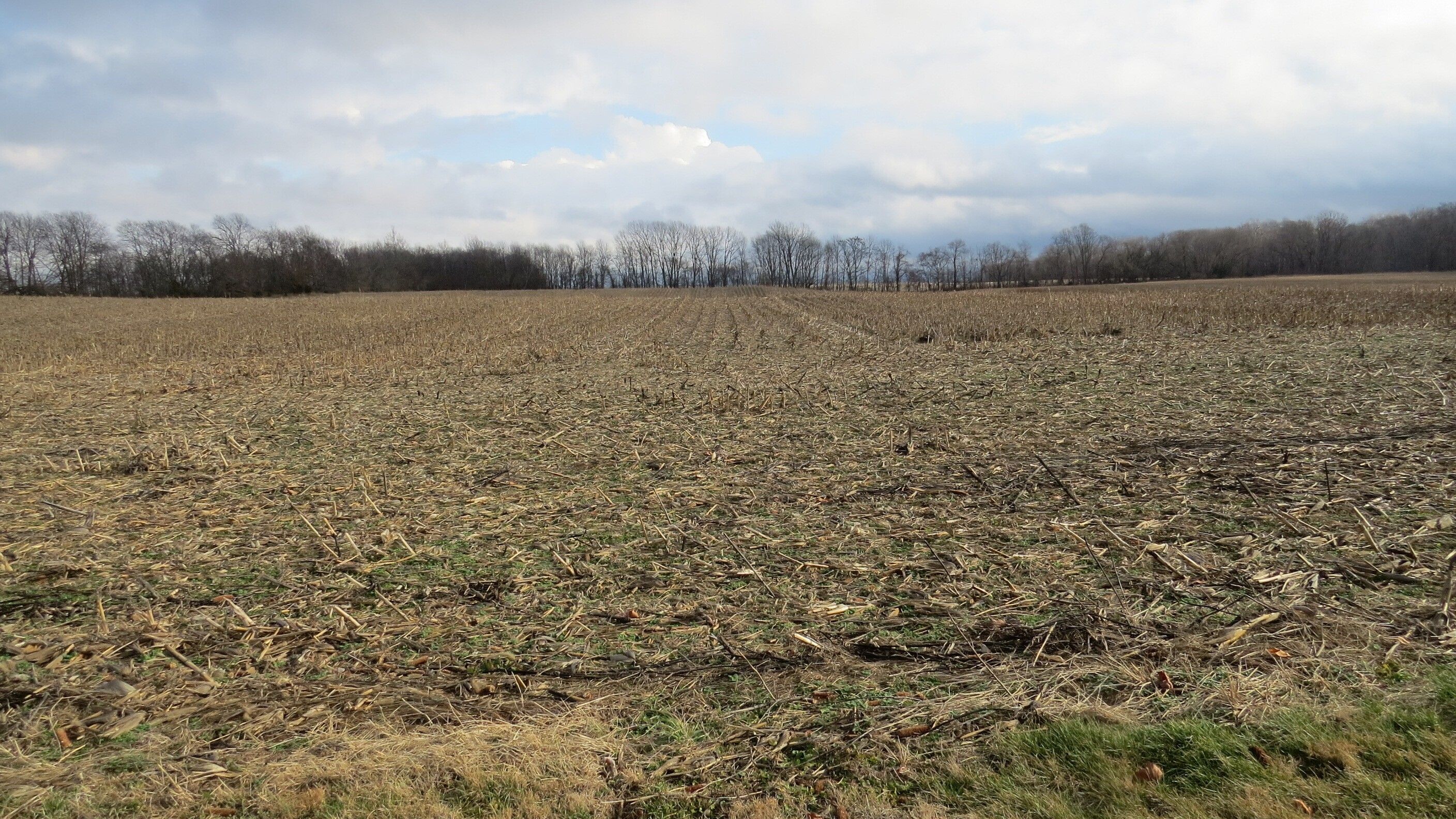 Hope, Bartholomew County, IN Farms and Ranches for sale Property ID