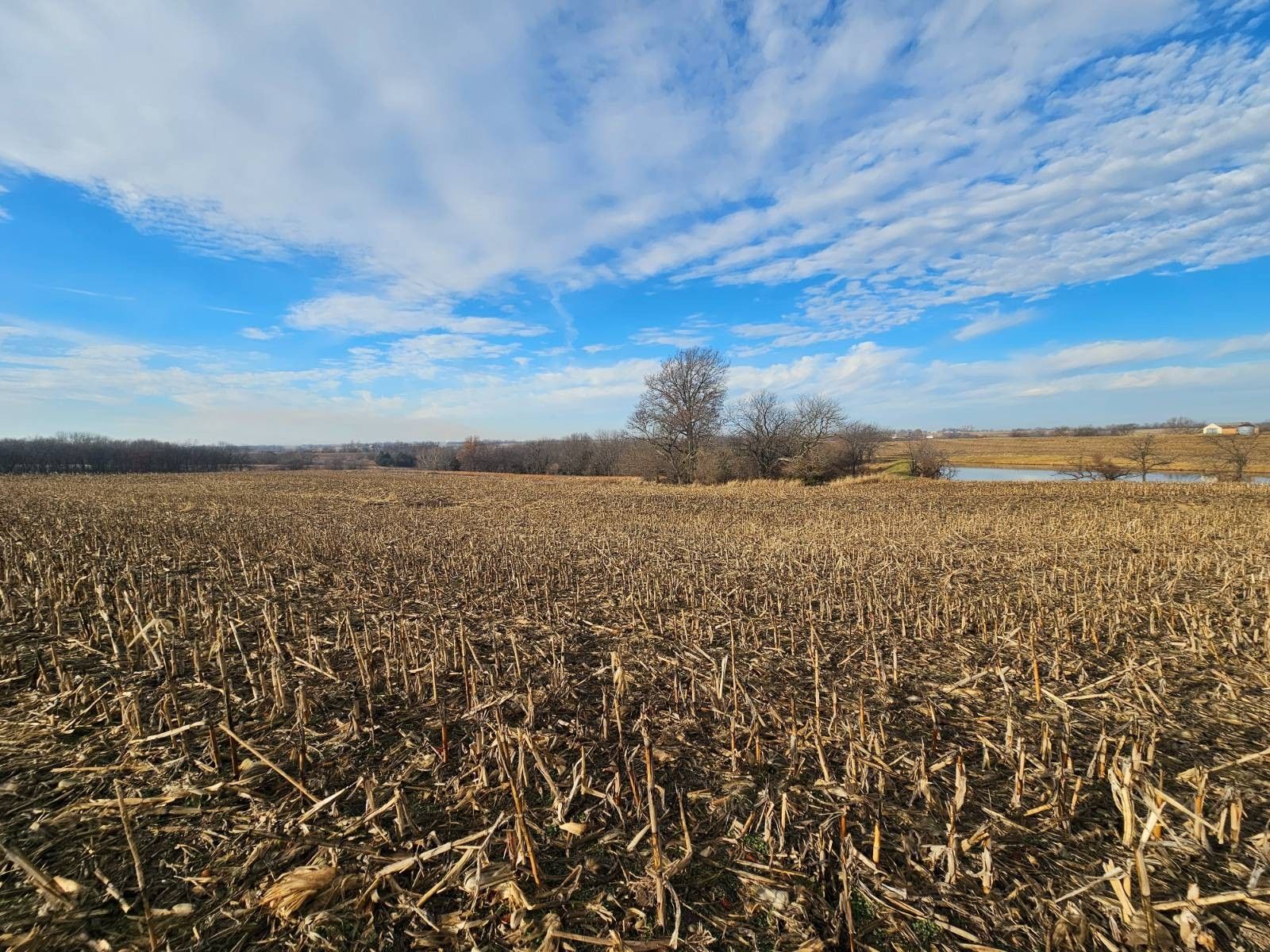 Hamilton, Caldwell County, MO Farms and Ranches for sale Property ID