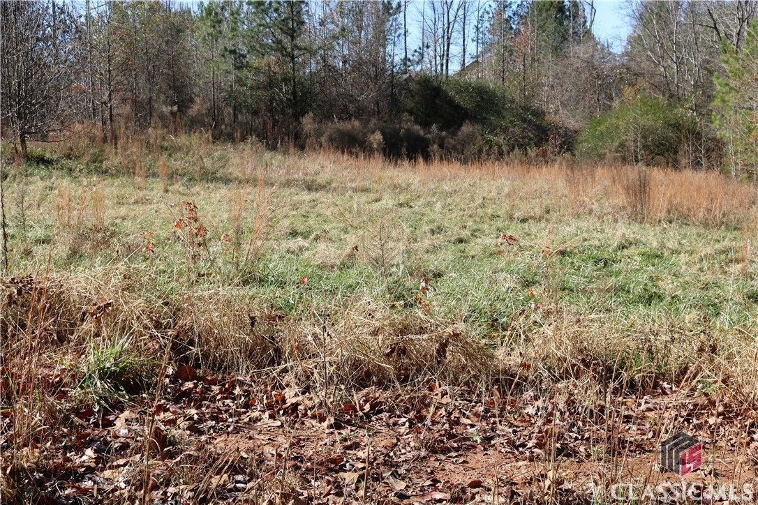 Danielsville, Madison County, GA Undeveloped Land, Homesites for sale