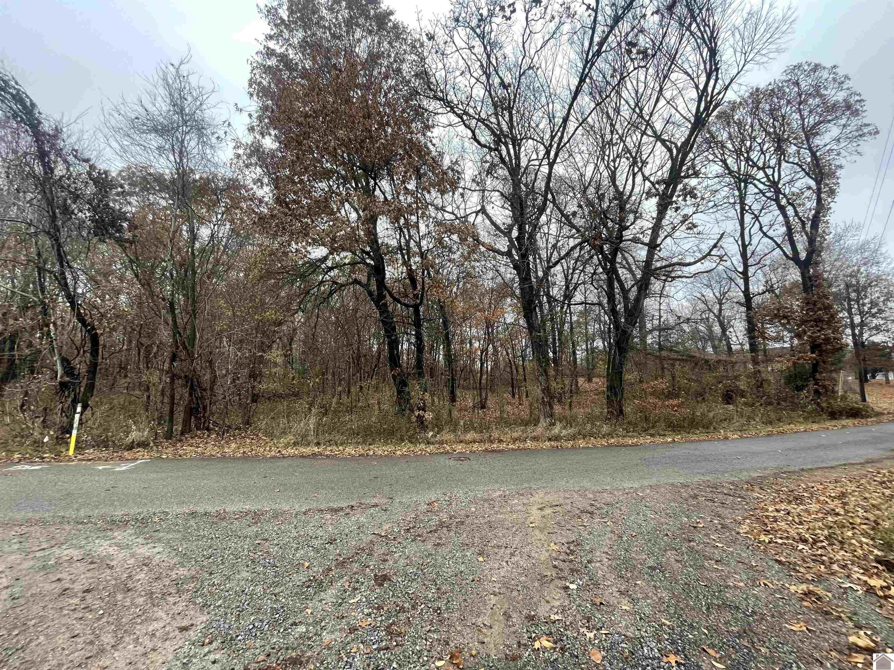 Mayfield, Graves County, KY Undeveloped Land, Homesites for sale