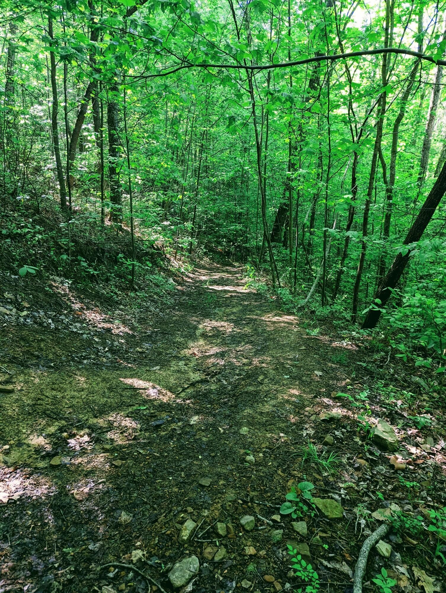 Coeburn, Dickenson County, VA Undeveloped Land for sale Property ID