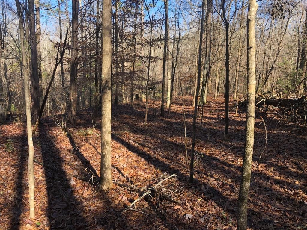 Belton, Anderson County, SC Undeveloped Land, Homesites for sale