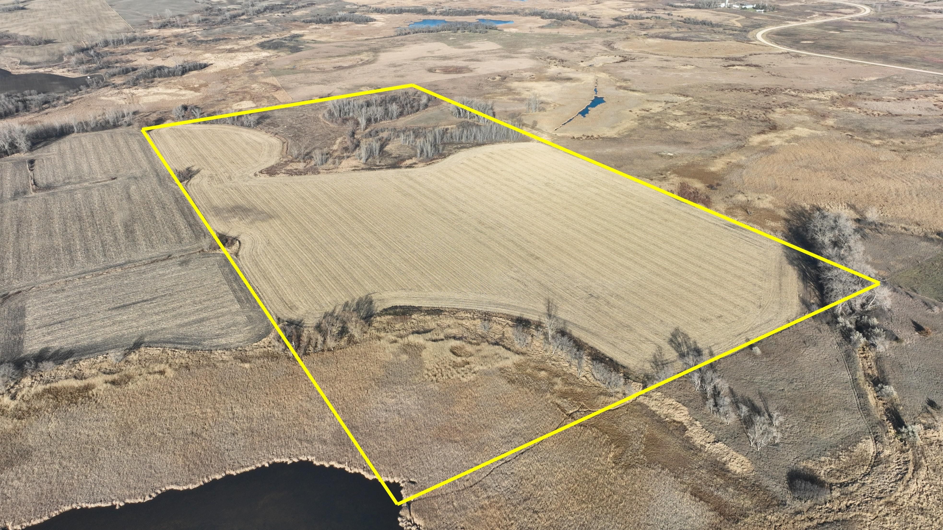 Benson, Swift County, MN Farms and Ranches, Undeveloped Land for