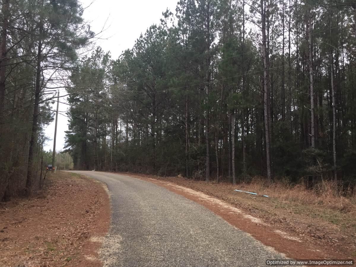 Kentwood, Tangipahoa Parish, LA Recreational Property, Timberland