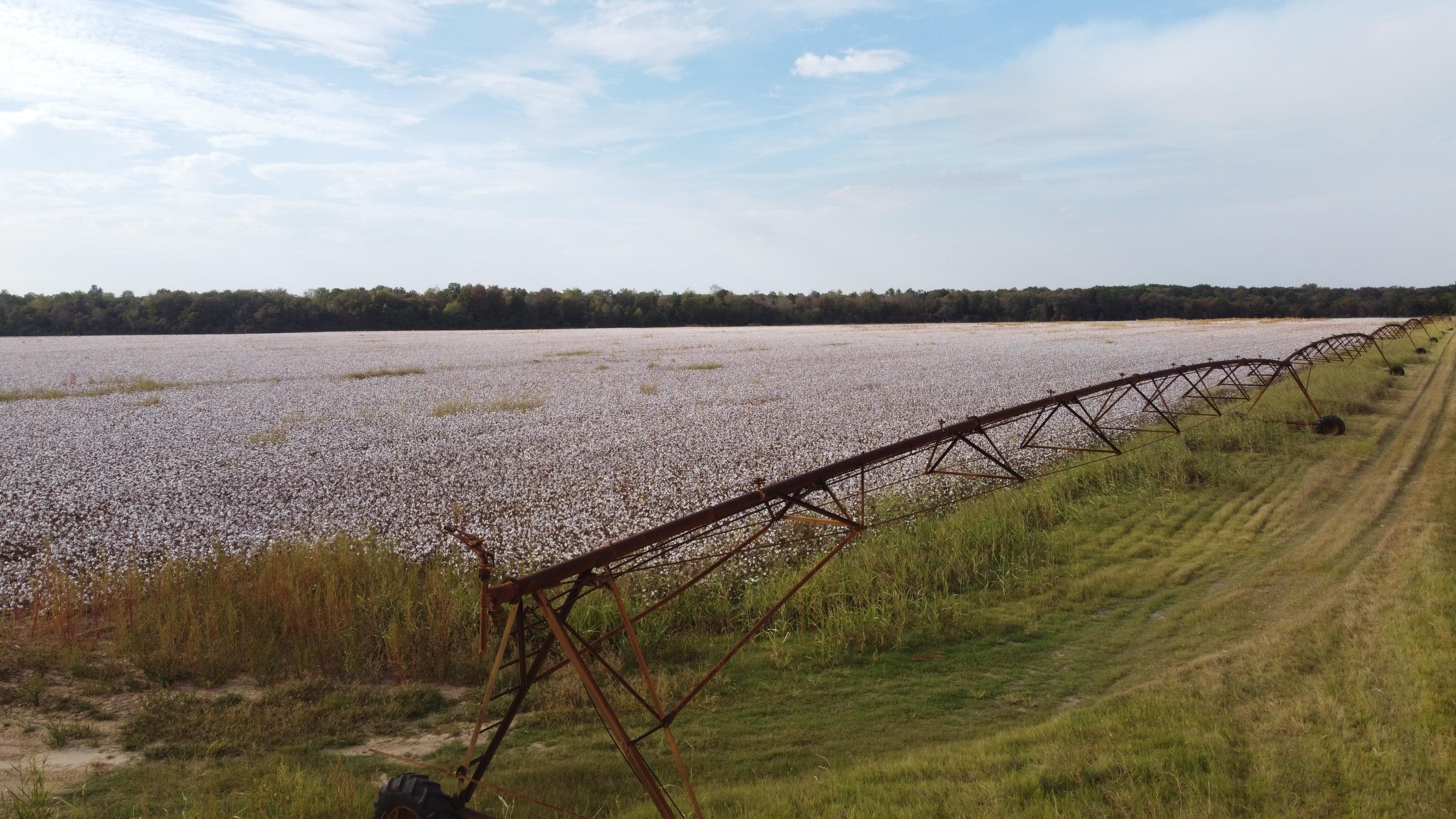 Mccrory, Woodruff County, AR Farms and Ranches, Timberland Property
