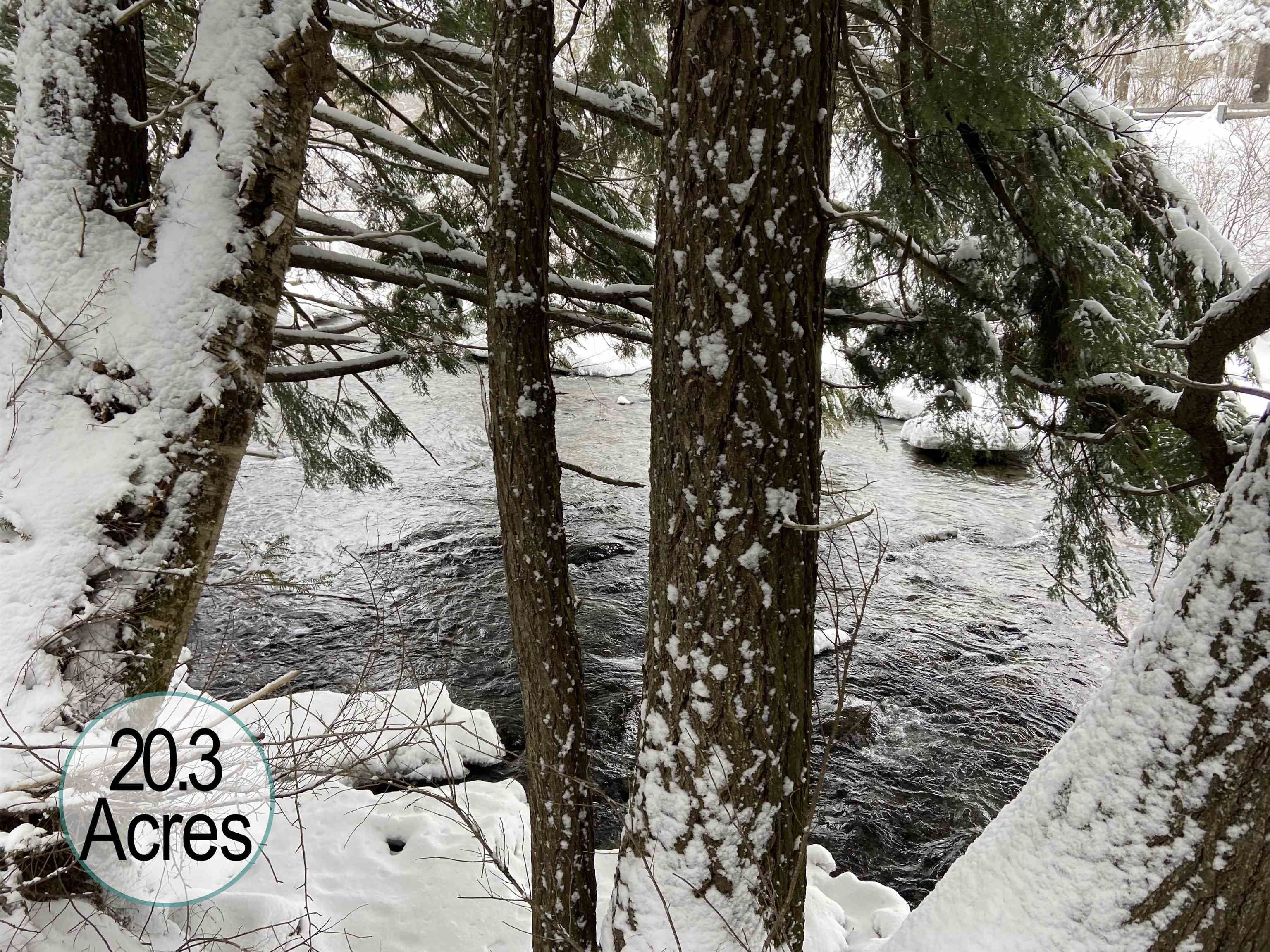 Wheelock, Caledonia County, VT Undeveloped Land, Lakefront Property