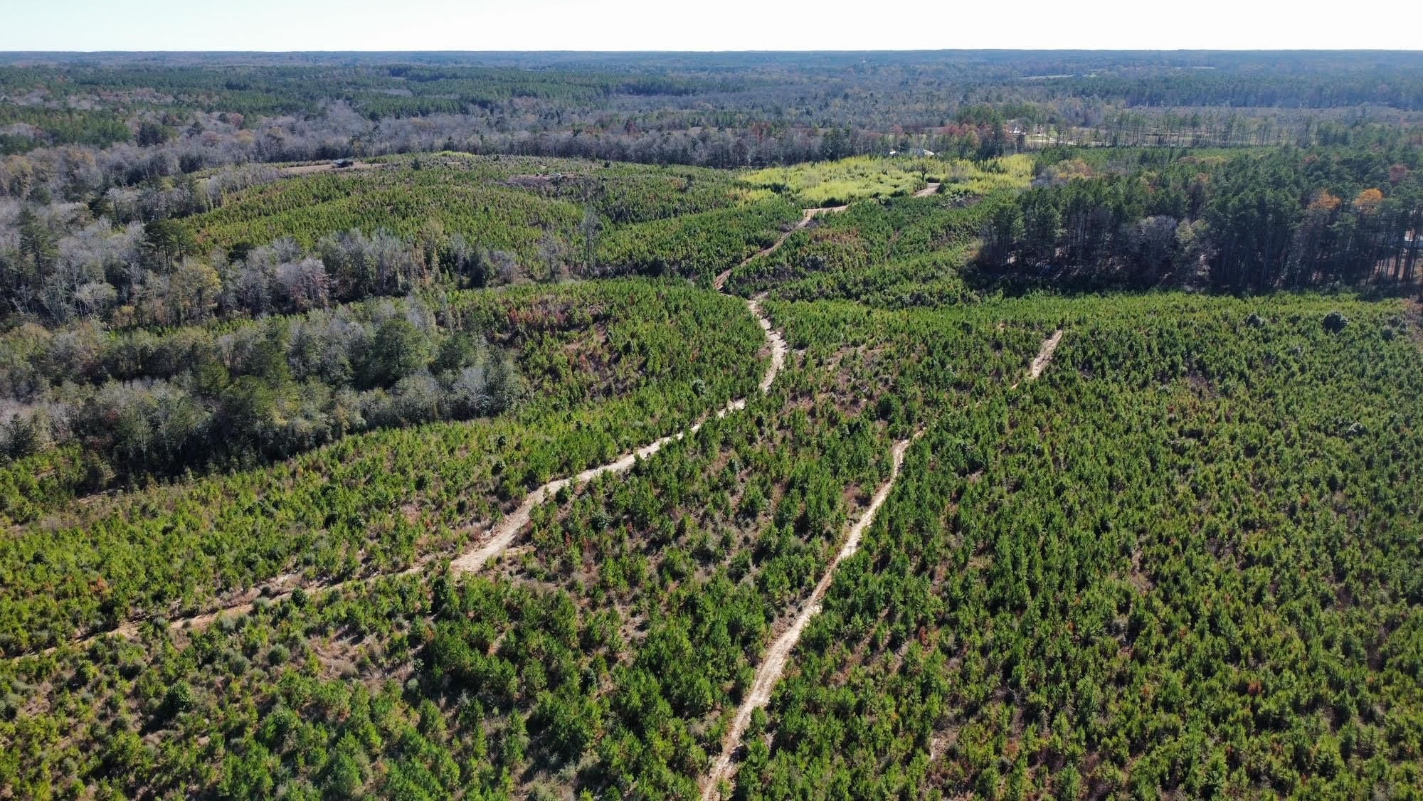 175 Acres, Simpson County, MS, Mendenhall, MS 39114 LandWatch