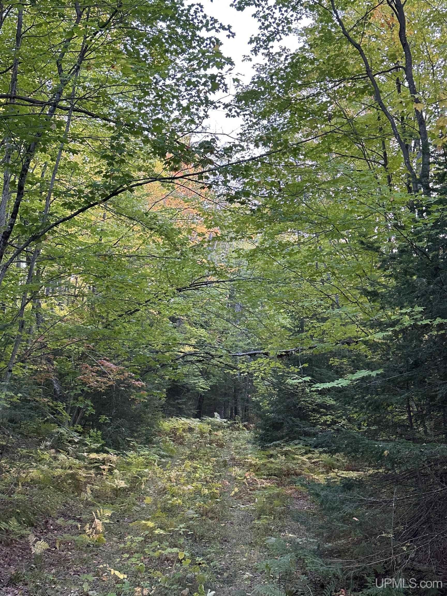 Skandia, Marquette County, MI Undeveloped Land for sale Property ID