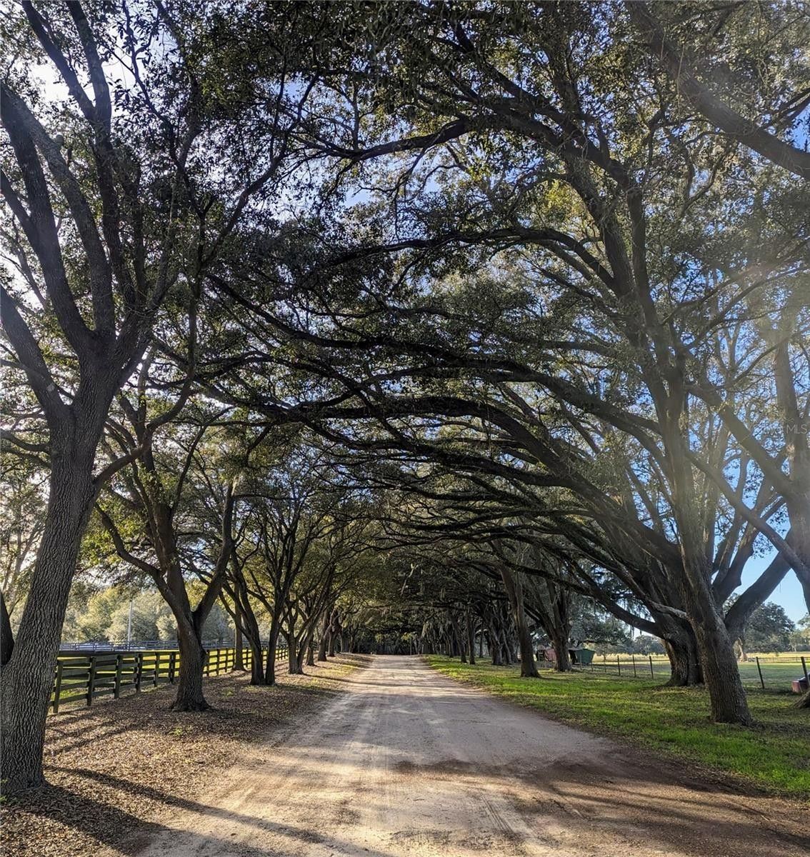 Morriston, Levy County, FL House for sale Property ID 418491159 LandWatch