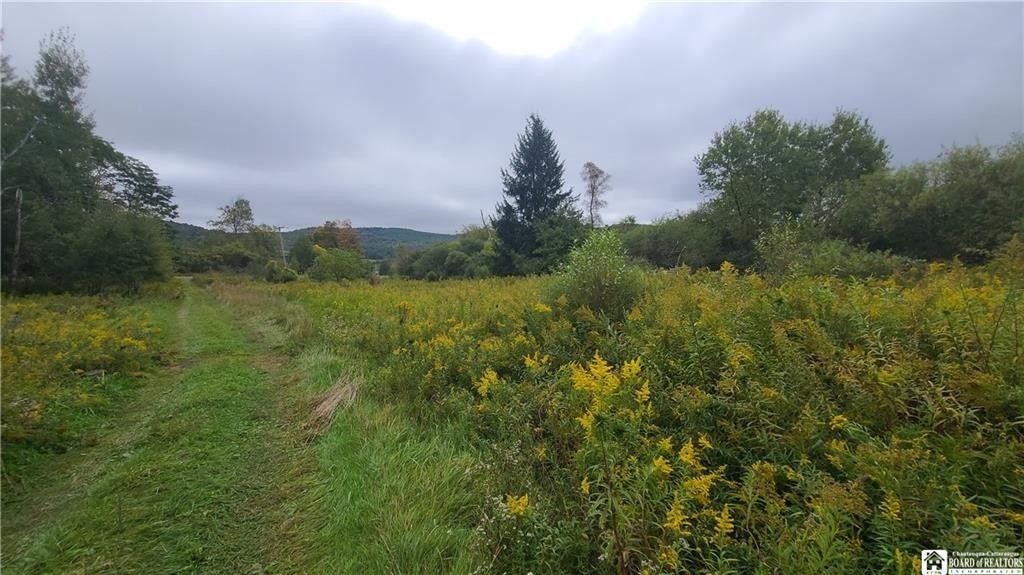 Little Genesee, Allegany County, NY Undeveloped Land for sale Property