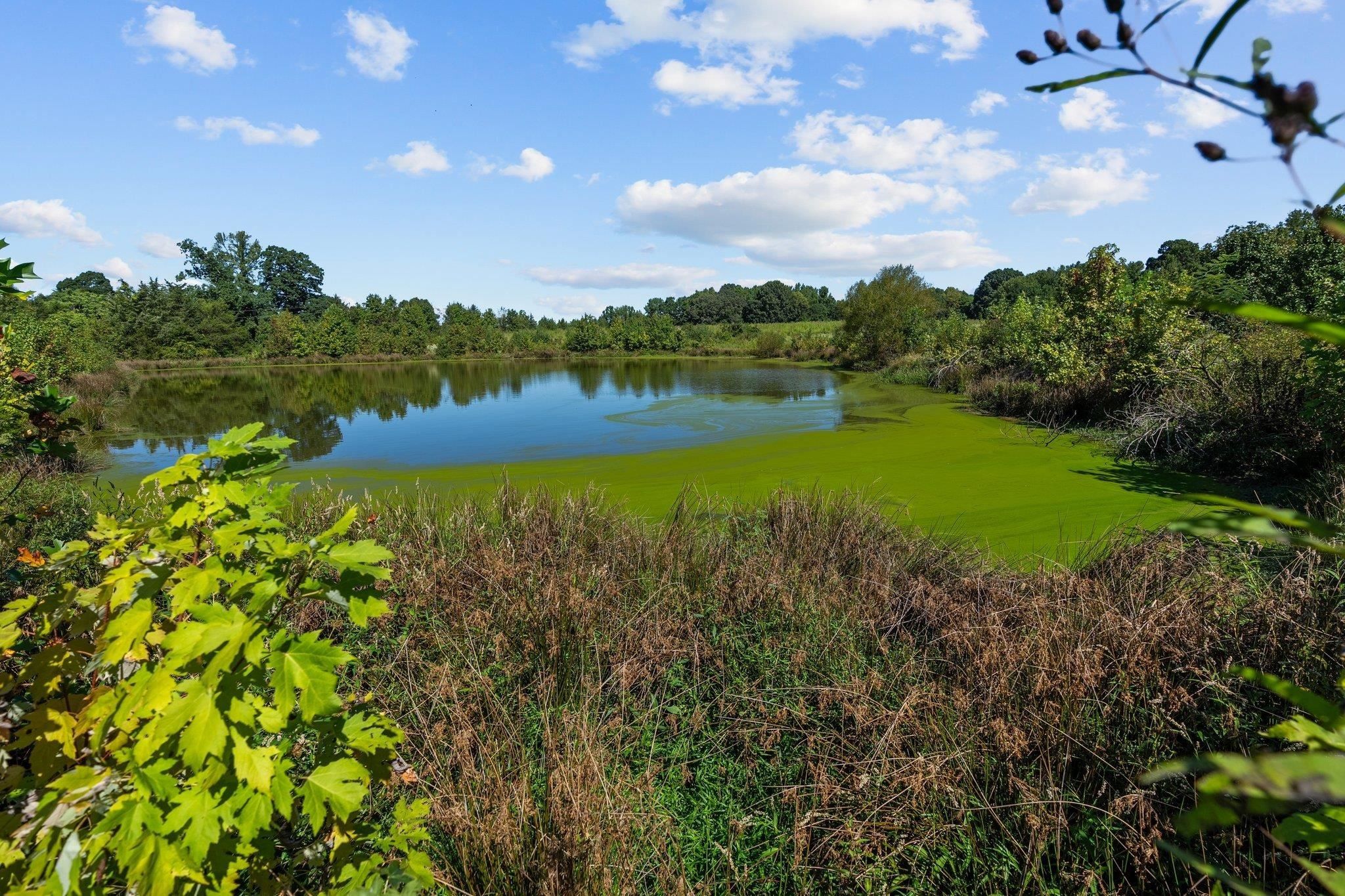 Roxboro, Person County, NC House for sale Property ID 417684120