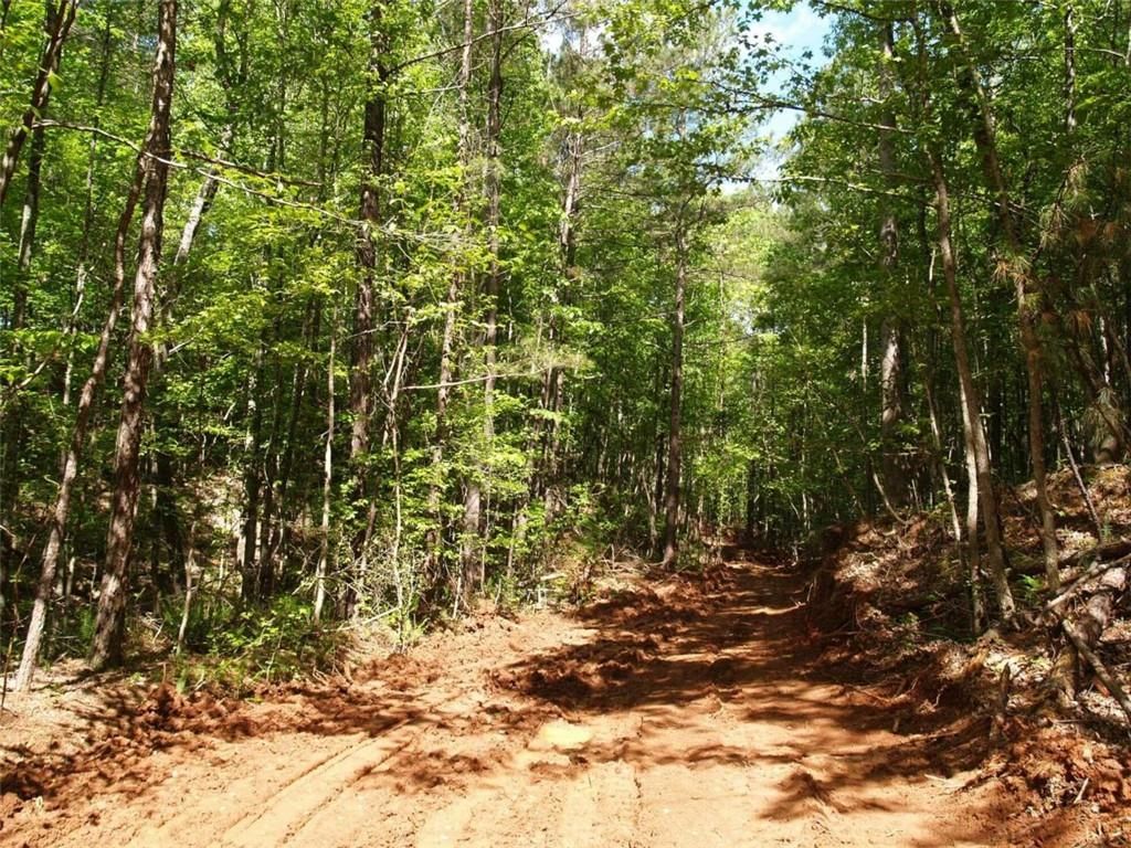 Dallas, Paulding County, GA Undeveloped Land for sale Property ID