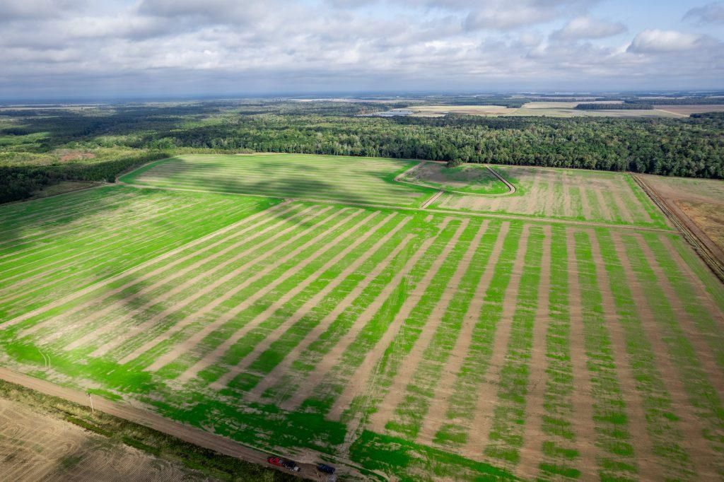 Des Arc, Prairie County, AR Farms and Ranches, Recreational Property