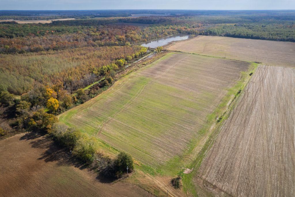 150 acres in Cotton Plant, AR, LandWatch