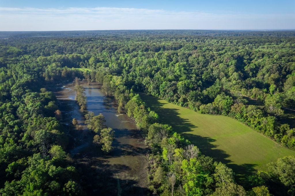 Marianna, Lee County, AR Timberland Property, Hunting Property for sale Property ID 417969287