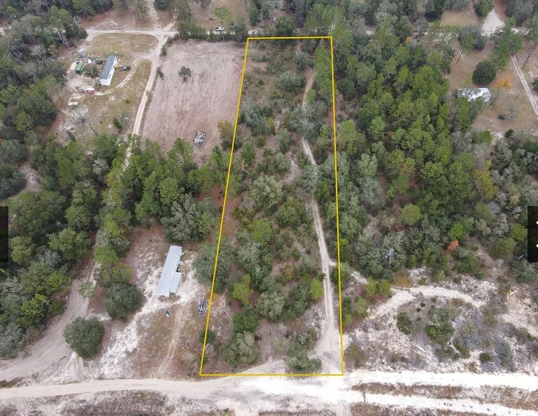 Bronson, Levy County, FL Timberland Property, Undeveloped Land